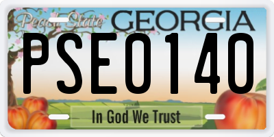 GA license plate PSE0140