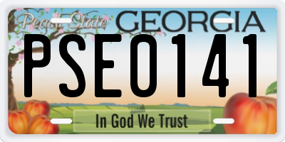 GA license plate PSE0141