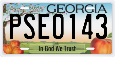 GA license plate PSE0143