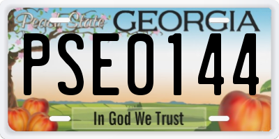 GA license plate PSE0144