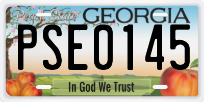 GA license plate PSE0145