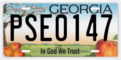 GA license plate PSE0147