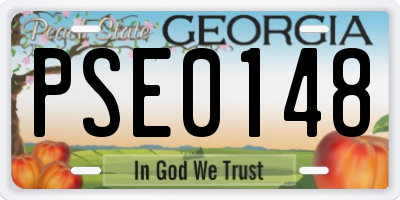 GA license plate PSE0148