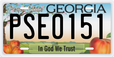 GA license plate PSE0151