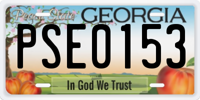 GA license plate PSE0153