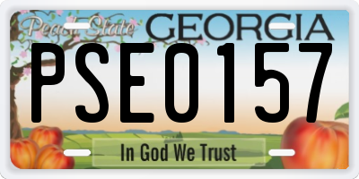 GA license plate PSE0157