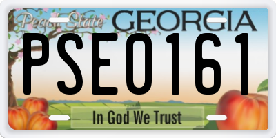 GA license plate PSE0161
