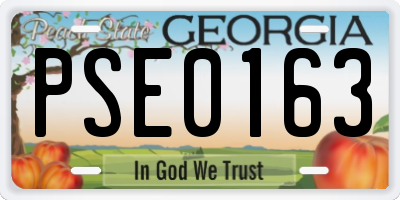 GA license plate PSE0163