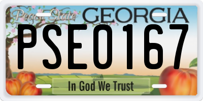 GA license plate PSE0167