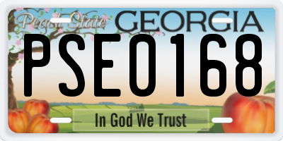 GA license plate PSE0168