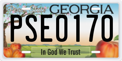 GA license plate PSE0170