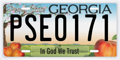 GA license plate PSE0171
