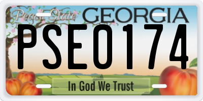 GA license plate PSE0174