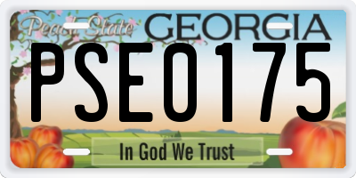 GA license plate PSE0175