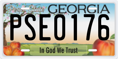 GA license plate PSE0176