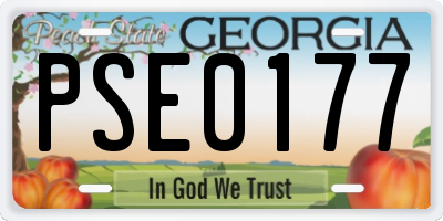 GA license plate PSE0177