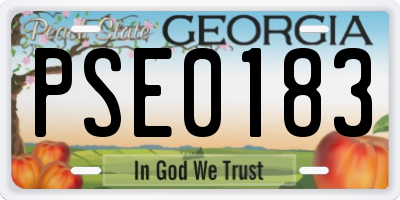 GA license plate PSE0183