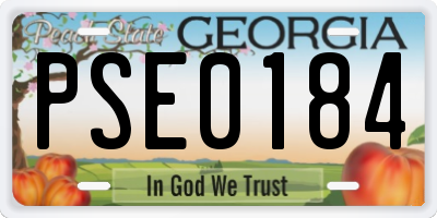 GA license plate PSE0184