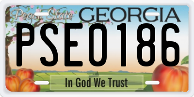GA license plate PSE0186