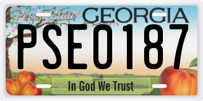 GA license plate PSE0187