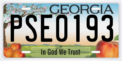 GA license plate PSE0193
