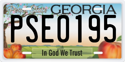 GA license plate PSE0195