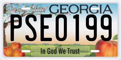 GA license plate PSE0199