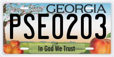 GA license plate PSE0203