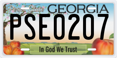 GA license plate PSE0207
