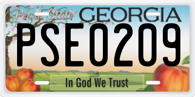 GA license plate PSE0209