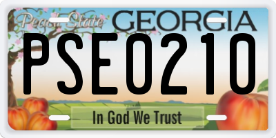 GA license plate PSE0210