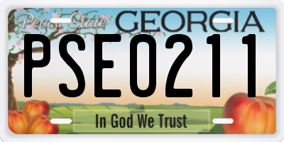 GA license plate PSE0211