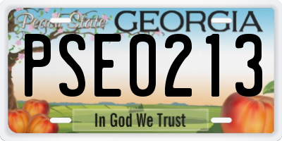 GA license plate PSE0213