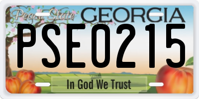 GA license plate PSE0215