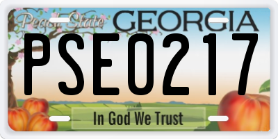 GA license plate PSE0217