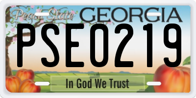 GA license plate PSE0219