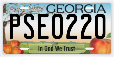 GA license plate PSE0220