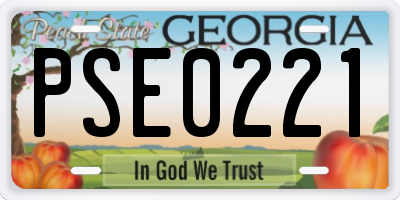 GA license plate PSE0221