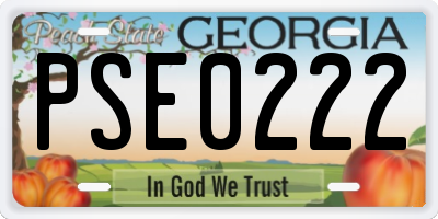 GA license plate PSE0222