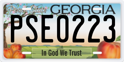 GA license plate PSE0223