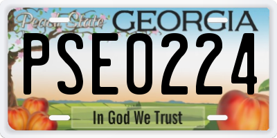 GA license plate PSE0224