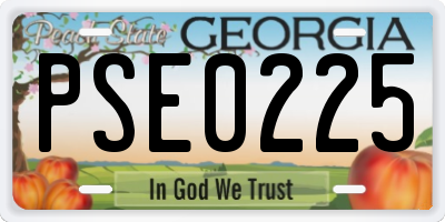 GA license plate PSE0225