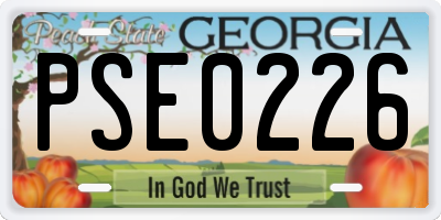 GA license plate PSE0226