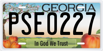 GA license plate PSE0227
