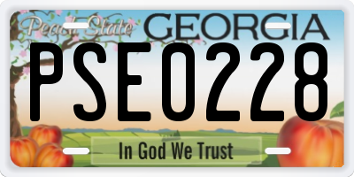GA license plate PSE0228
