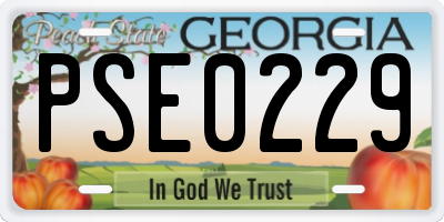 GA license plate PSE0229