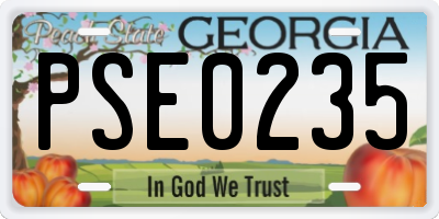 GA license plate PSE0235