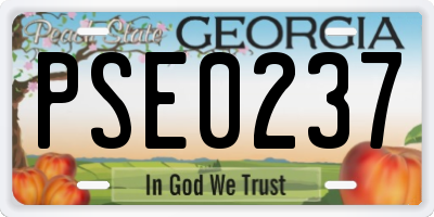 GA license plate PSE0237