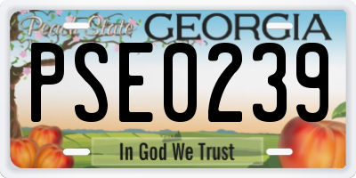 GA license plate PSE0239