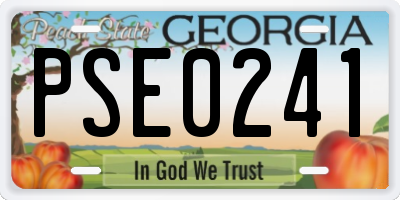 GA license plate PSE0241